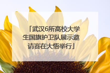 武汉6所高校大学生国旗护卫队展示邀请赛在大悟举行